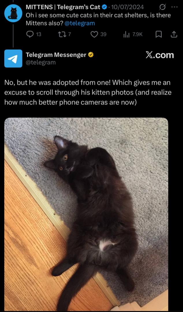 Mittens Image 2